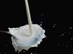 Do full-fat dairy products increase risk of breast cancer recurrence?