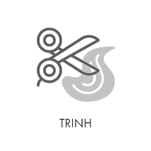 logo-TRINH-salon.gif